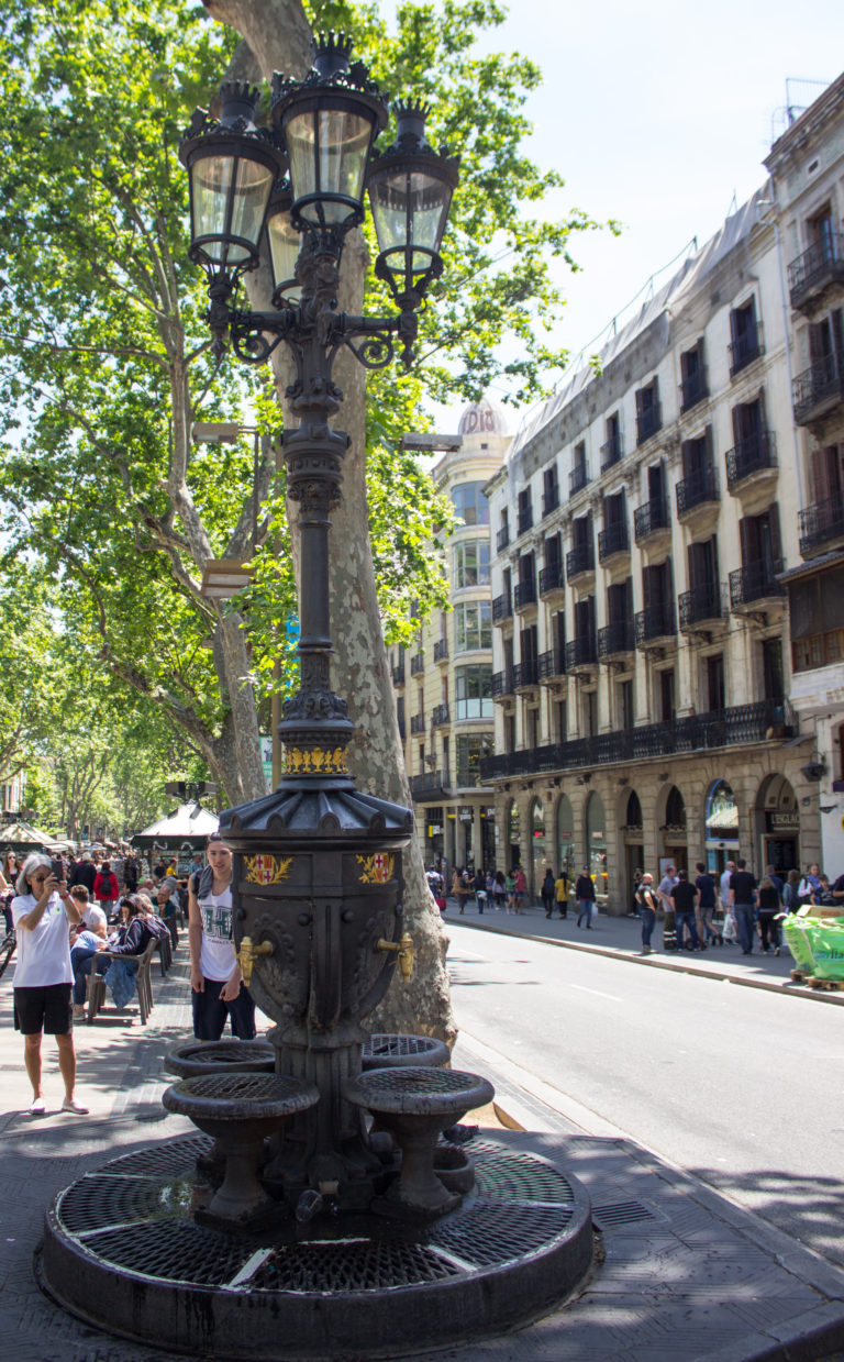 The Magic of La Font de Canaletes in Barcelona